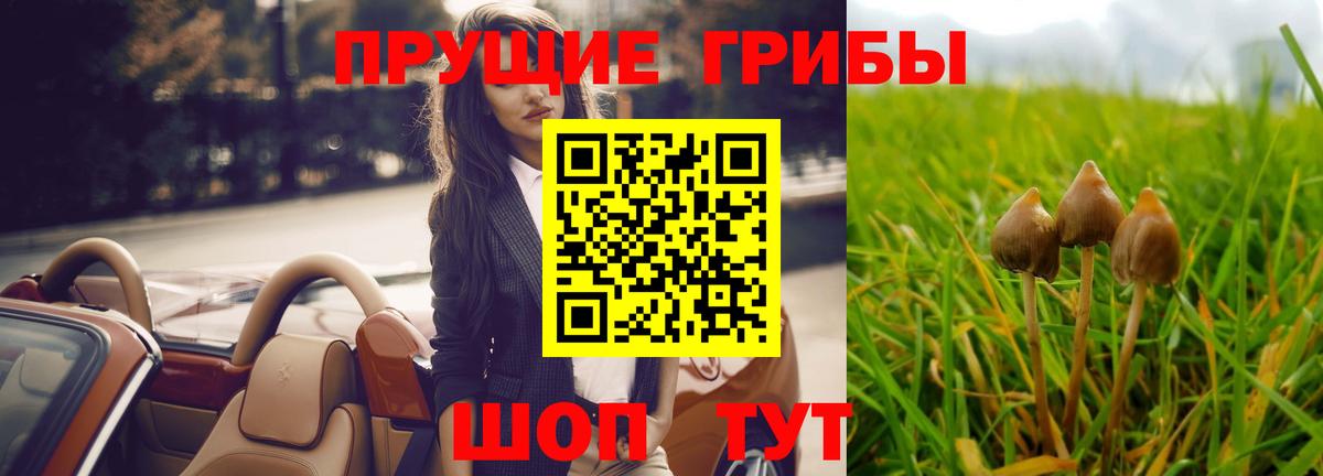 Псилоцибиновые грибы мицелий  Псилоцибиновые грибы Magic Shrooms  где найти   Королёв  Вход с VPN 